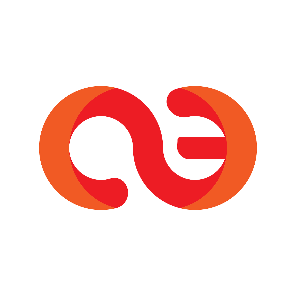 CEWise Logo
